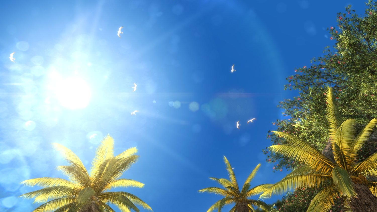 AC4BFSP 2015-12-04 08-26-25-40