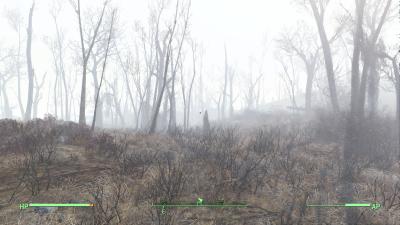 Fallout4_2016_01_29_20_24_17_116