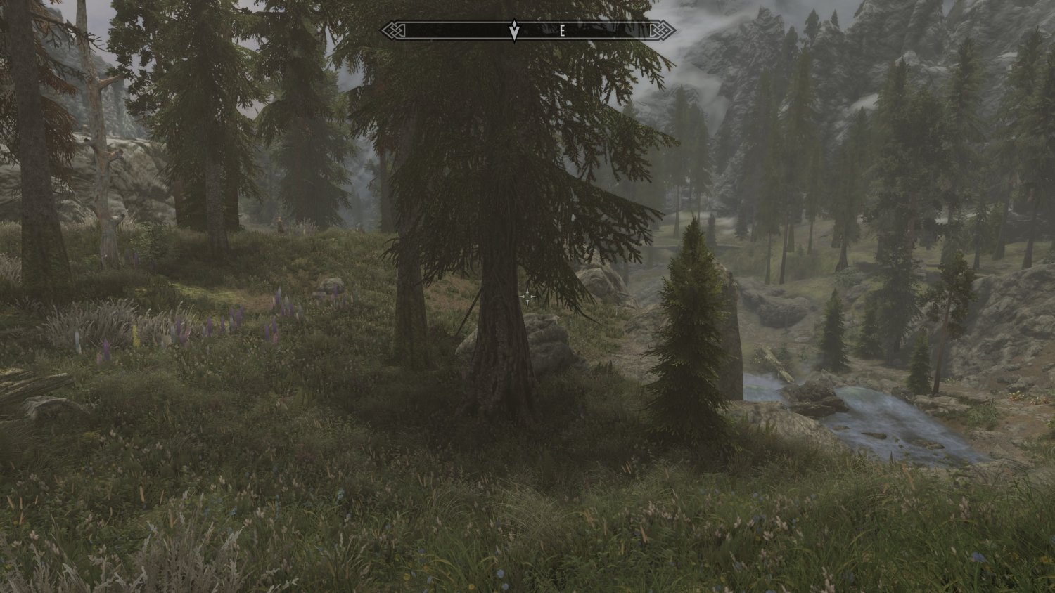 SkyrimSE_2016_11_16_23_59_32_513