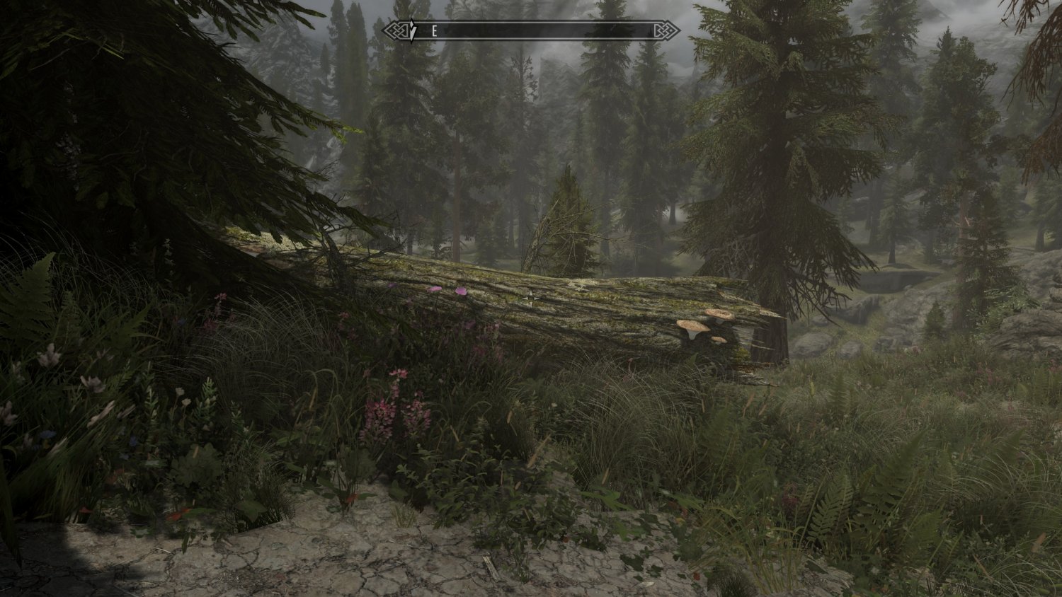 SkyrimSE_2016_11_17_00_00_09_794