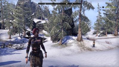 The Elder Scrolls Online