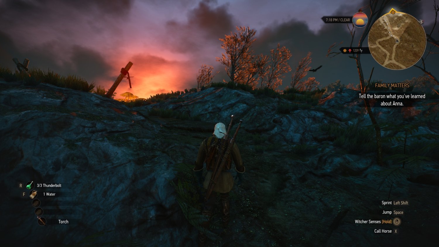 witcher3 2015-12-30 20-38-31-41