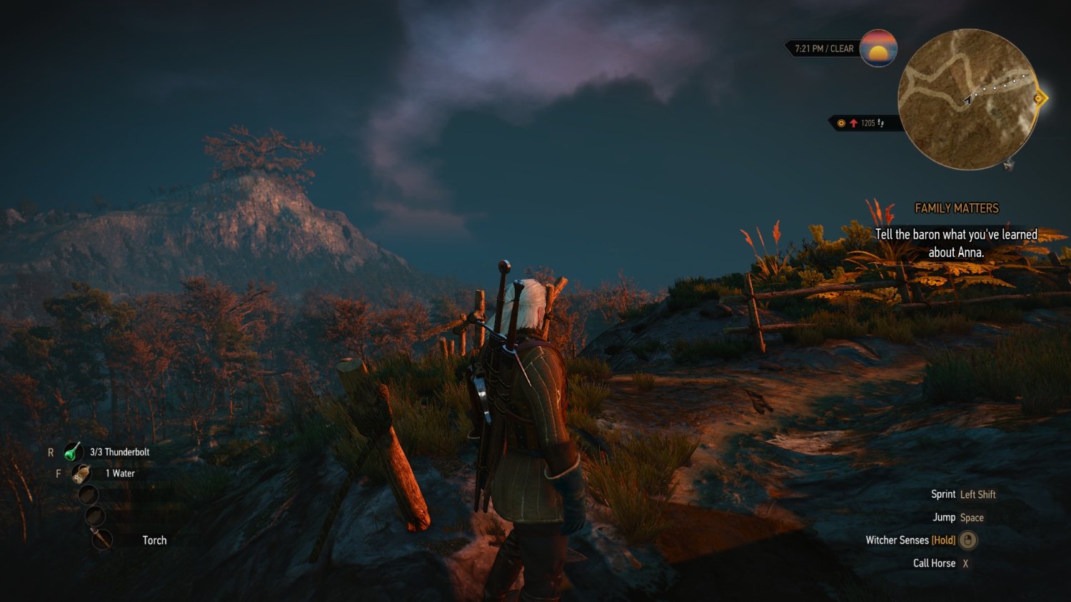 witcher3 2015-12-30 20-38-46-65