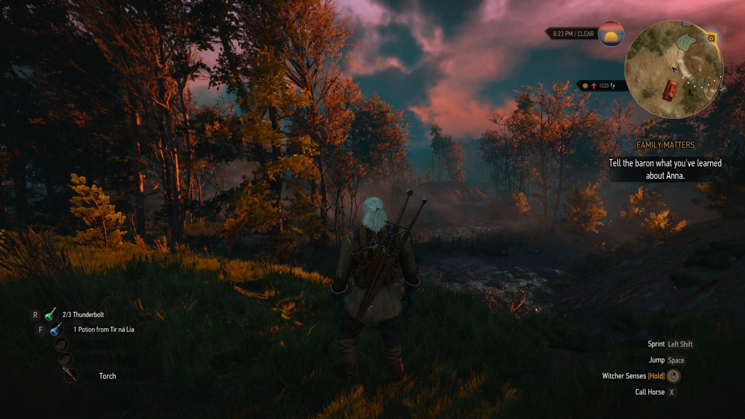 witcher3 2015-12-30 20-44-53-94