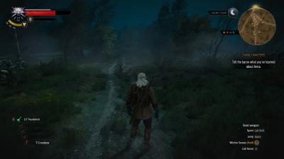 witcher3 2016-03-10 18-37-56-87