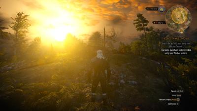 witcher3_2016_09_29_23_42_36_360