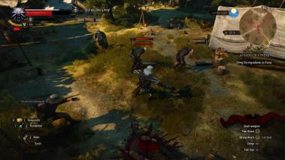 witcher3_2016_12_20_00_27_11_554